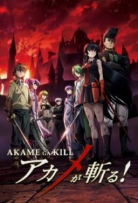 Cover Akame ga Kill!, Poster