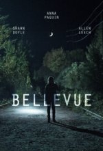 Cover Bellevue, Poster, Stream