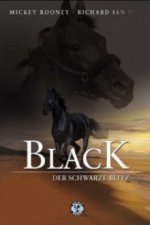 Cover Black, der schwarze Blitz, Poster, Stream