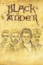 Cover Blackadder, Poster, Stream