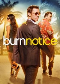 Burn Notice Cover, Online, Poster