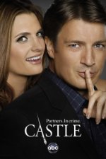 Cover Castle, Poster, Stream