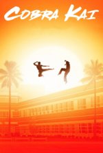 Cover Cobra Kai, Poster, Stream