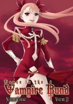 Cover Dance in the Vampire Bund, Poster Dance in the Vampire Bund