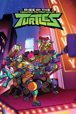 Cover Der Aufstieg der Teenage Mutant Ninja Turtles, Poster, Stream