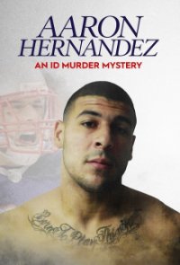 Der Fall Aaron Hernandez Cover, Poster, Blu-ray,  Bild