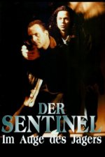 Staffel 1 Cover, Poster