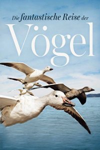 Cover Die fantastische Reise der Vögel – Federleicht und flügelweit, Poster Die fantastische Reise der Vögel – Federleicht und flügelweit