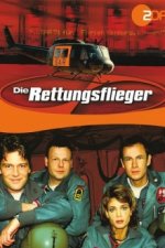 Cover Die Rettungsflieger, Poster, Stream