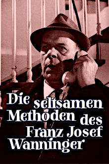 Die seltsamen Methoden des Franz Josef Wanninger, Cover, HD, Serien Stream, ganze Folge