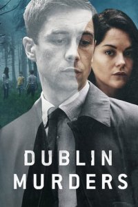 Cover Dublin Murders, TV-Serie, Poster