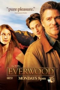 Everwood Cover, Poster, Blu-ray,  Bild