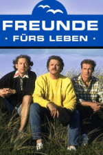 Cover Freunde fürs Leben, Poster, Stream