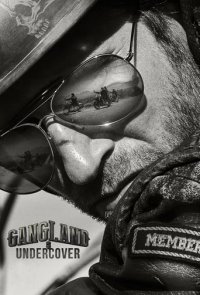 Gangland Undercover Cover, Poster, Blu-ray,  Bild