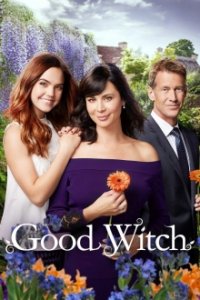 Good Witch Cover, Poster, Blu-ray,  Bild