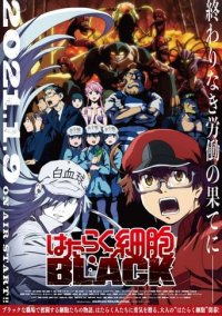 Hataraku Saibou Black Cover, Poster, Blu-ray,  Bild