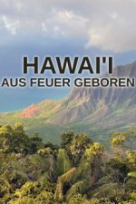 Cover Hawai’i: Aus Feuer geboren, Poster Hawai’i: Aus Feuer geboren