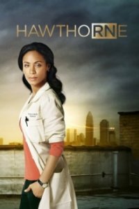 Hawthorne Cover, Poster, Hawthorne DVD