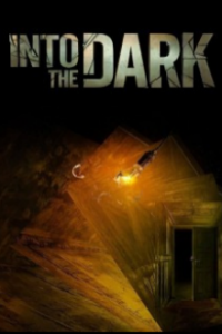 Into the Dark Cover, Poster, Blu-ray,  Bild