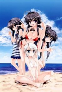 Cover Kanokon, Poster