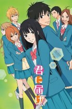 Cover Kimi ni Todoke, Poster Kimi ni Todoke