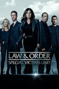 Law & Order: Special Victims Unit Cover, Poster, Blu-ray,  Bild