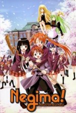 Cover Magister Negi Magi, Poster, Stream