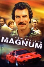 Cover Magnum, Poster Magnum