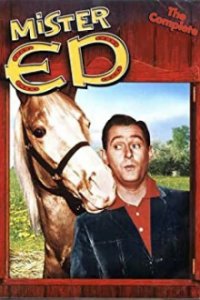 Cover Mr. Ed, Poster Mr. Ed