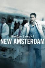 Cover New Amsterdam, Poster, Stream