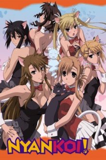 Nyan Koi, Cover, HD, Serien Stream, ganze Folge