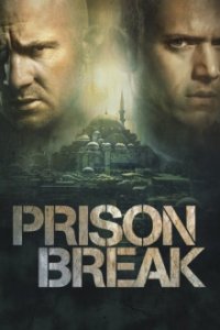 Prison Break Cover, Poster, Blu-ray,  Bild