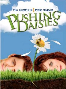 Pushing Daisies Cover, Poster, Blu-ray,  Bild