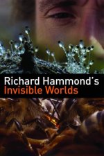 Cover Richard Hammonds unsichtbare Welten, Poster, Stream