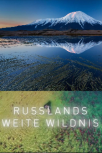 Russlands weite Wildnis Cover, Online, Poster