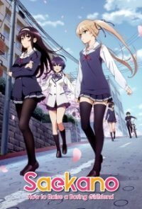 Saenai Heroine no Sodatekata Cover, Poster, Blu-ray,  Bild