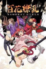 Cover Samurai Girls, Poster, Stream