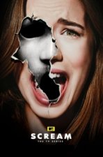 Cover Scream, Poster, Stream