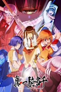 Shin Ikki Tousen Cover, Poster, Blu-ray,  Bild