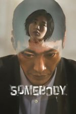 Cover Somebody, Poster, Stream