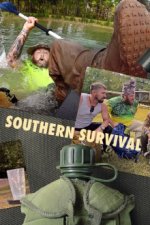 Cover Southern Survival, Poster, Stream