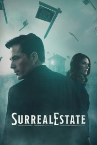 SurrealEstate Cover, Poster, Blu-ray,  Bild