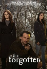 Cover The Forgotten - Die Wahrheit stirbt nie, TV-Serie, Poster