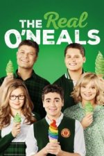 Cover The Real O'Neals, Poster, Stream