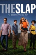 Cover The Slap – Nur eine Ohrfeige, Poster, Stream