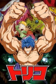 Toriko Cover, Poster, Toriko