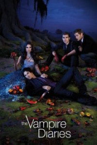 Vampire Diaries Cover, Poster, Blu-ray,  Bild