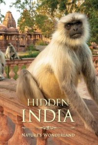 Cover Verborgenes Indien, Poster