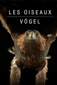 Cover Vögel, Poster