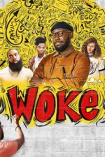 Cover Woke, Poster, Stream